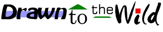 Drawn to the Wild Logo Logo for Drawn to the Wild, our sister business which provides information about sport and the great outdoors.